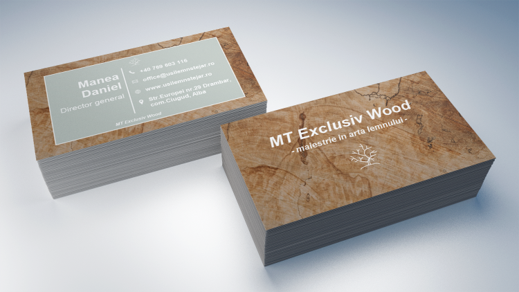 MT Exclusive Wood CV mockup 1