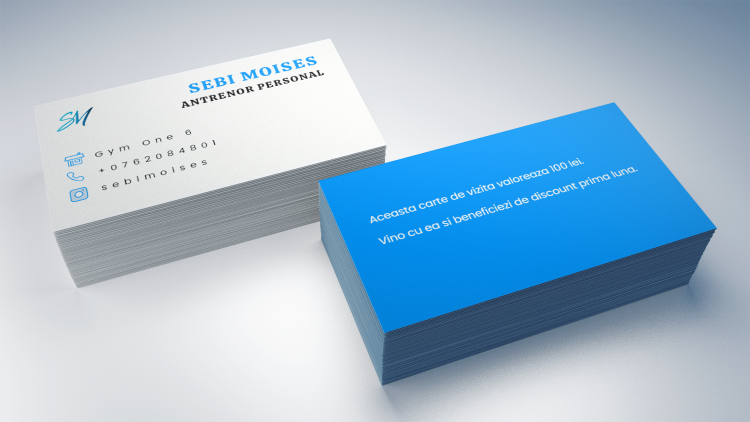 Sebi cv mockup