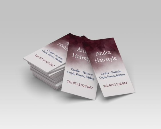 Andra Hairstyle CV mockup