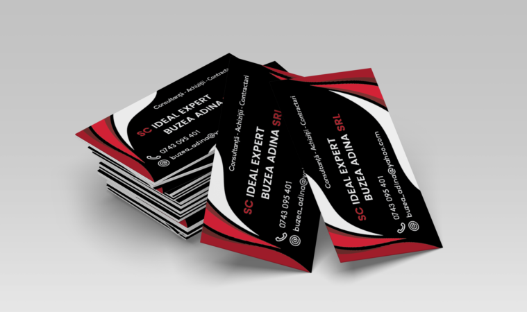 CV Buzea Adina Mockup 1