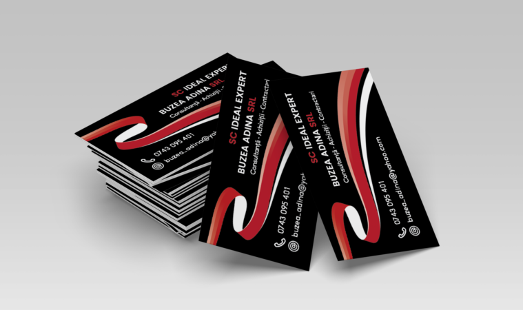 CV Buzea Adina Mockup