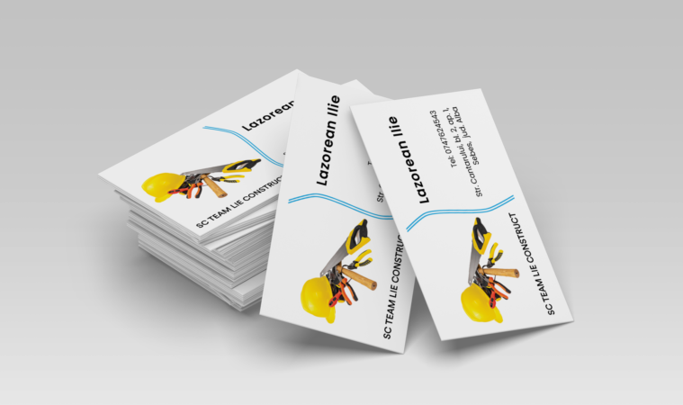 Lazorean Ilie CV Mockup