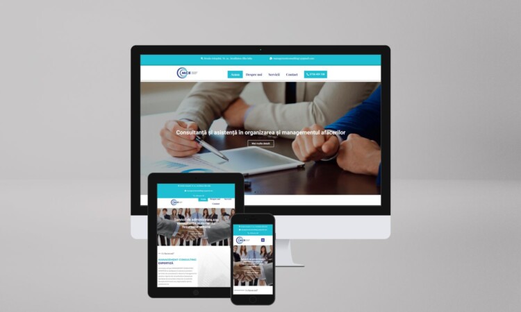 Management Consult Website