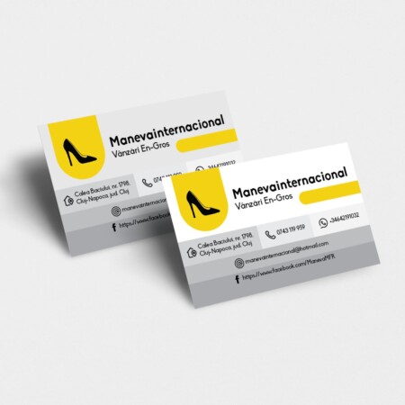 Manevainternacional CV 1