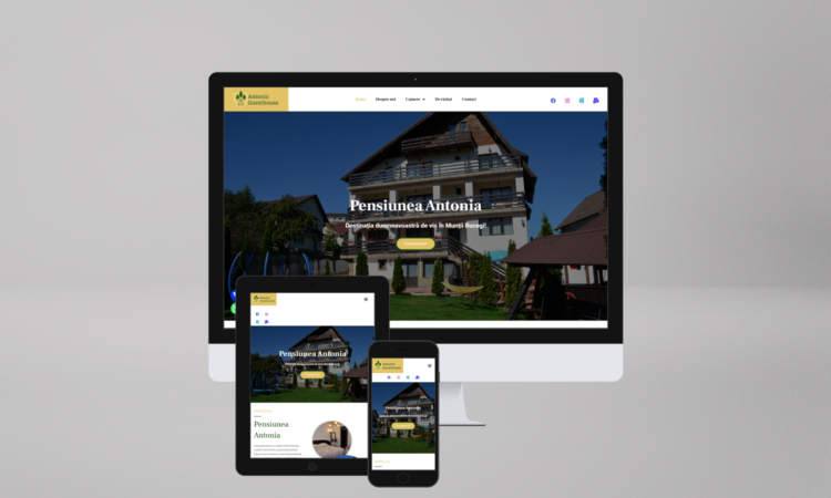 Pensiunea Antonia Website Mockup