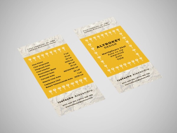 flyer alyrokey design